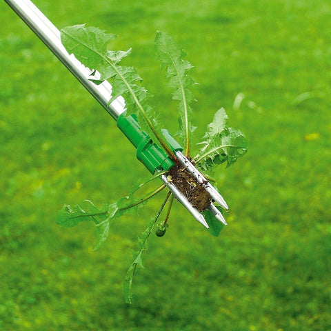 ARRACHEUR DE MAUVAISES HERBES ERGONOMIQUE TRAVAIL SANS EFFORT