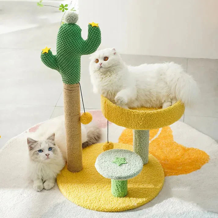 Arbre à chat cactus « Far West »