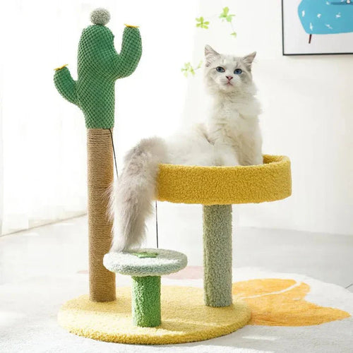 Arbre à chat cactus « Far West »