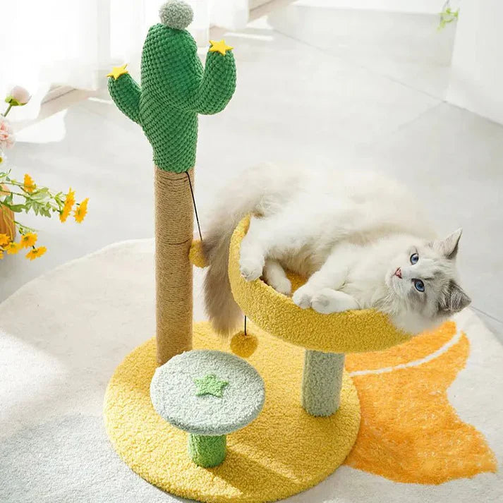 Arbre à chat cactus « Far West »