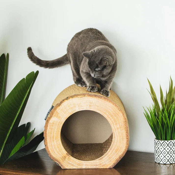 ARBRE À CHAT MINIMALISTE EN BOIS