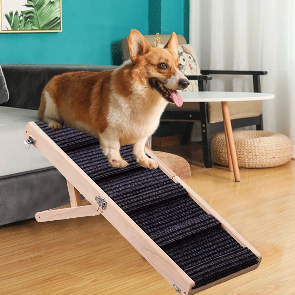 RAMPE PLIABLE POUR ANIMAUX – CONFORT, SÉCURITÉ & MOBILITÉ