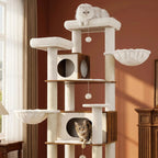 Arbre à chat XXL 210 cm tout-en-un avec litière, station repas & espaces de repos. Idéal pour Maine Coon