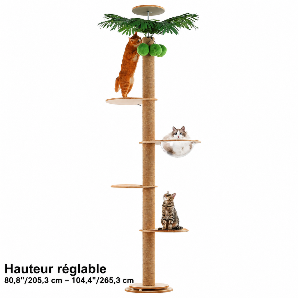 Arbre à chat du sol au plafond avec griffoir en sisal, lit en acrylique et perchoir supérieur