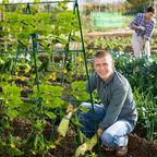 GRILLE GUIDAGE PLANTES CLIMB GRID  – CROISSANCE STRUCTURÉE