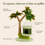Arbre à chat manguier avec perche et griffoir