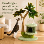 Arbre à chat manguier avec perche et griffoir
