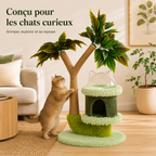 Arbre à chat manguier avec perche et griffoir