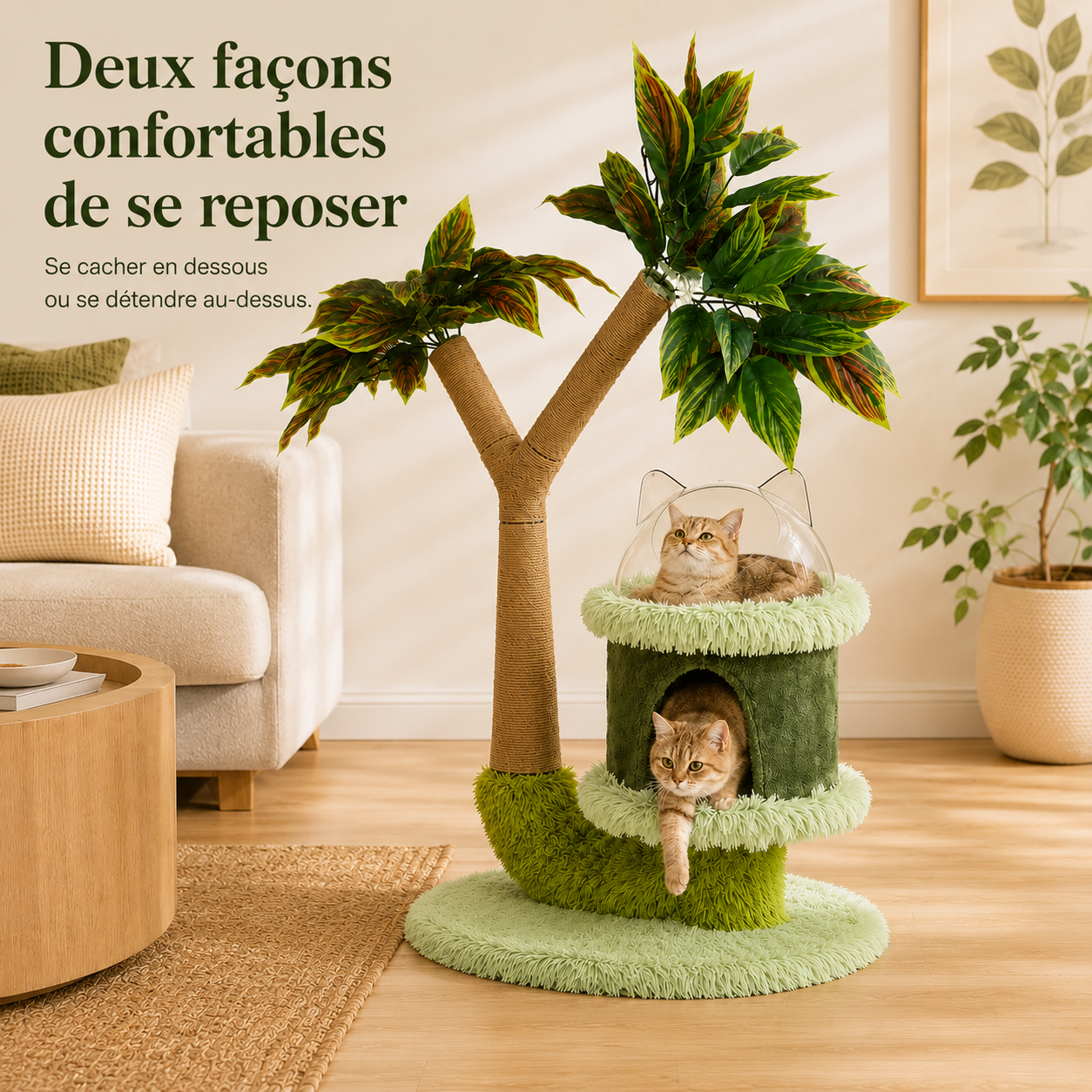 Arbre à chat manguier avec perche et griffoir