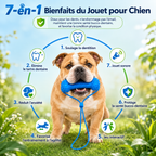 SOIN BUCCO-DENTAIRE, GRIFFOIR DENTAIRE & JOUET À MÂCHER POUR CHIEN