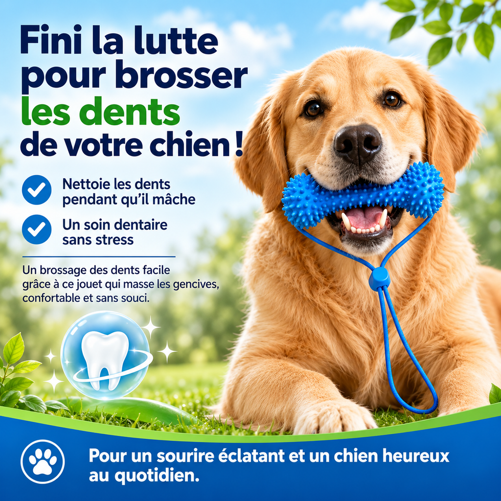SOIN BUCCO-DENTAIRE, GRIFFOIR DENTAIRE & JOUET À MÂCHER POUR CHIEN
