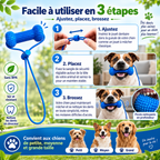 SOIN BUCCO-DENTAIRE, GRIFFOIR DENTAIRE & JOUET À MÂCHER POUR CHIEN