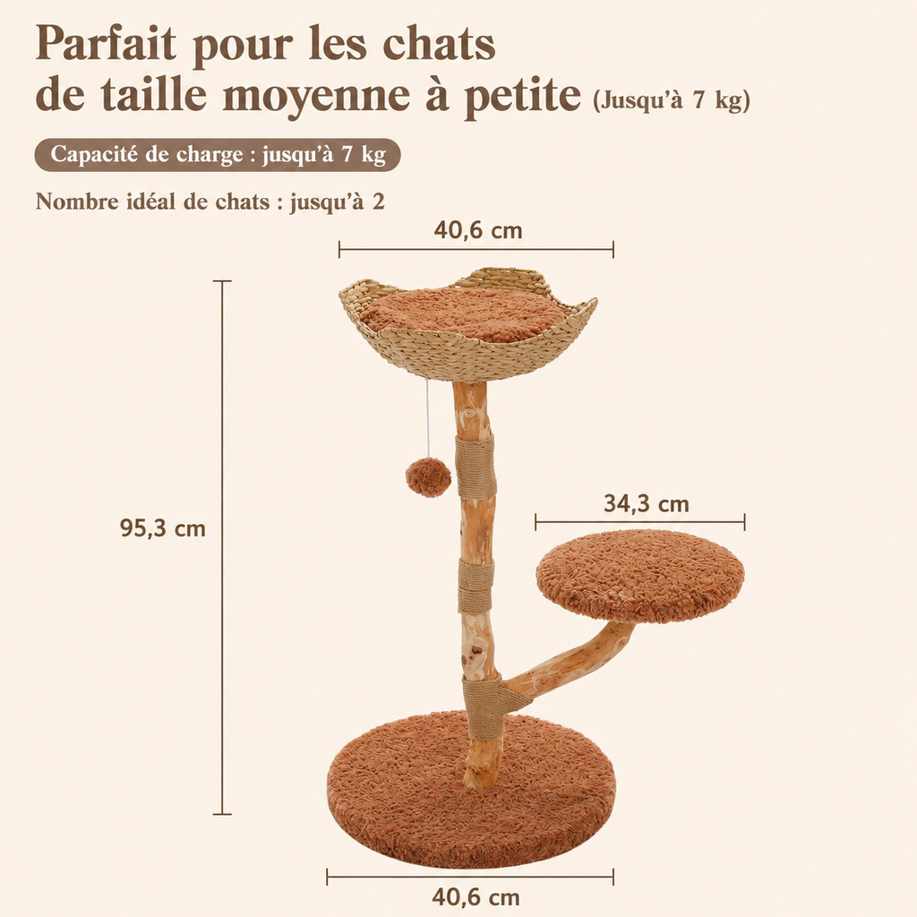 Fini les arbres à chat sans style – Arbre à chat en bois avec panier en osier et branches naturelles