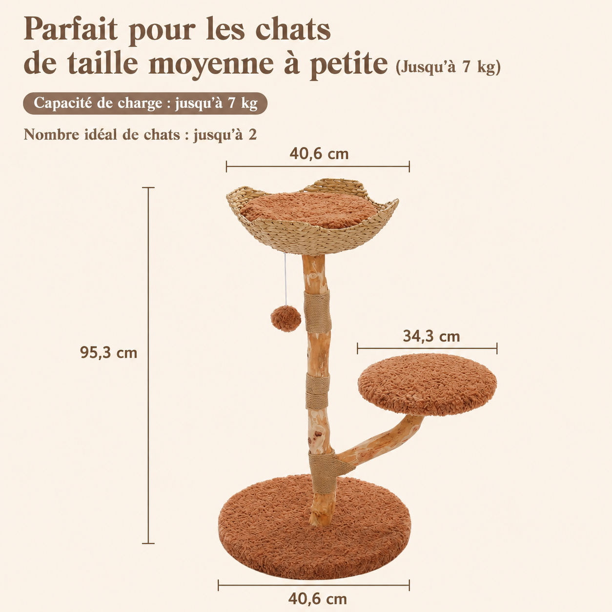 FINI LES ARBRES À CHAT SANS STYLE – ARBRE À CHAT EN BOIS AVEC PANIER EN OSIER ET BRANCHES NATURELLES