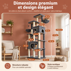 Arbre à chat XXL de 214 cm pour chats de grande taille, Maine Coon, base extra large, 2 plateformes, 2 spacieuses niches, 10 poteaux à gratter en sisal, 2 hamacs