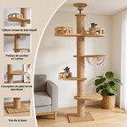 Titanwood XXL – Arbre à chat du sol au plafond spécial maine coon