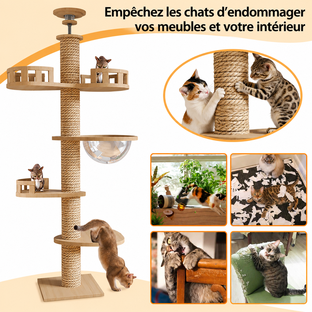 Titanwood XXL – Arbre à chat du sol au plafond spécial maine coon