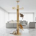 OAKSPIRE LOFT – ARBRE À CHAT XXL EN BOIS MASSIF DU SOL AU PLAFOND SPÉCIAL MAINE COON