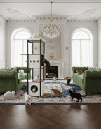 Monarch – L’arbre à chat premium au confort royal 165 cm