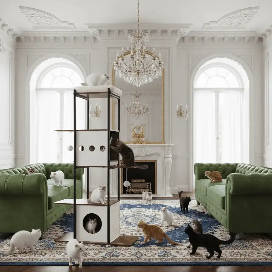 Monarch – L’arbre à chat premium au confort royal 165 cm