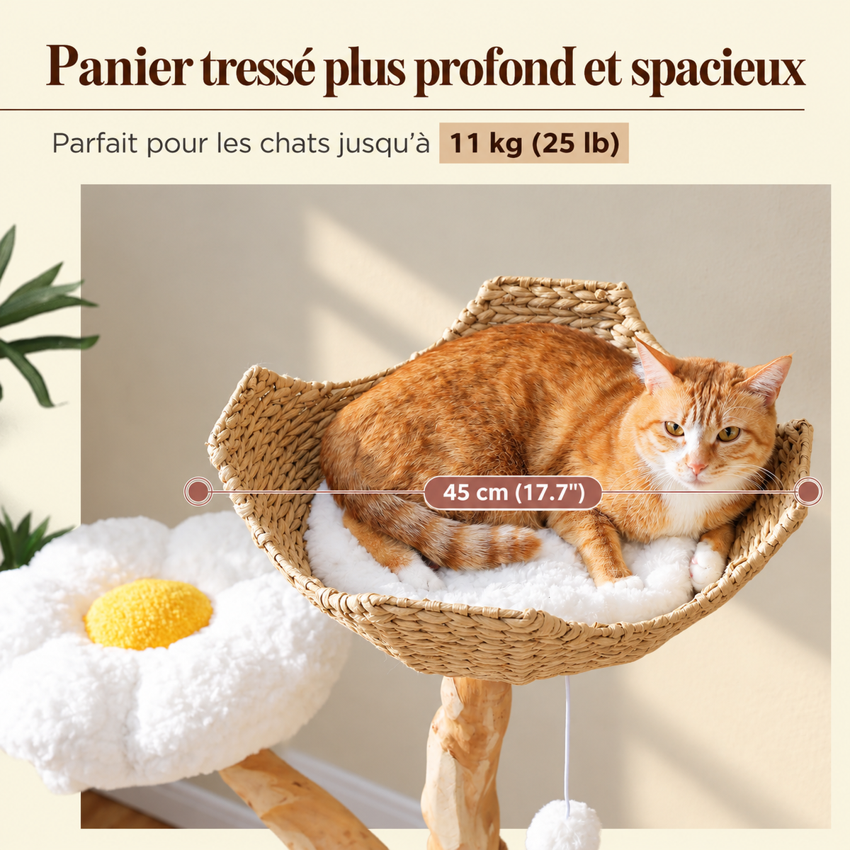 Arbre à chat en bois massif 150 cm –  multi-niveaux avec griffoirs en sisal, paniers en osier, lits fleur et hamac