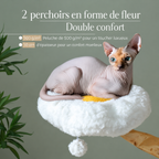 Arbre à chat en bois massif 150 cm –  multi-niveaux avec griffoirs en sisal, paniers en osier, lits fleur et hamac