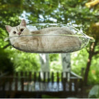 FINI LES REBORDS DE FENÊTRE TROP ÉTROITS – HAMAC PANORAMIQUE SUSPENDU POUR CHAT