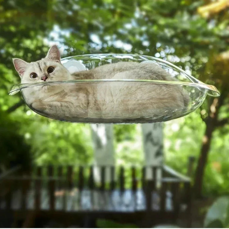 FINI LES REBORDS DE FENÊTRE TROP ÉTROITS – HAMAC PANORAMIQUE SUSPENDU POUR CHAT