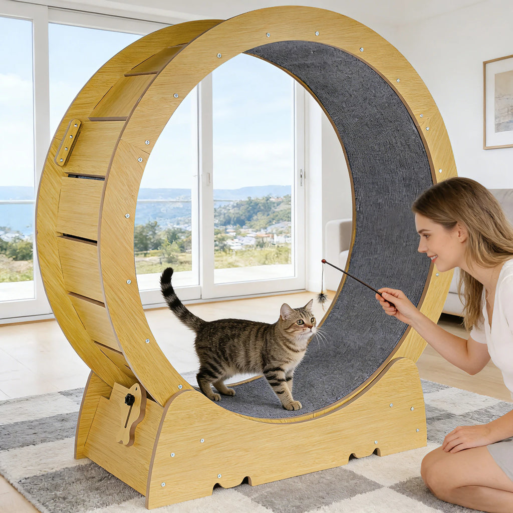 FINI L'ENNUI ET LE SURPOIDS CHEZ LES CHATS D'INTÉRIEUR – ROUE D'EXERCICE POUR CHAT