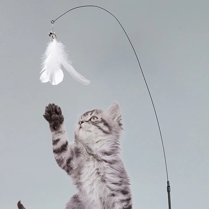 JOUET INTERACTIF POUR CHAT À VENTOUSE – AMUSEMENT NON-STOP & EXERCICE GARANTI