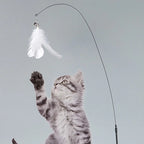 JOUET INTERACTIF POUR CHAT À VENTOUSE – AMUSEMENT NON-STOP & EXERCICE GARANTI