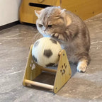 GRIFFOIR BALLON DE FOOT INTERACTIF POUR CHAT