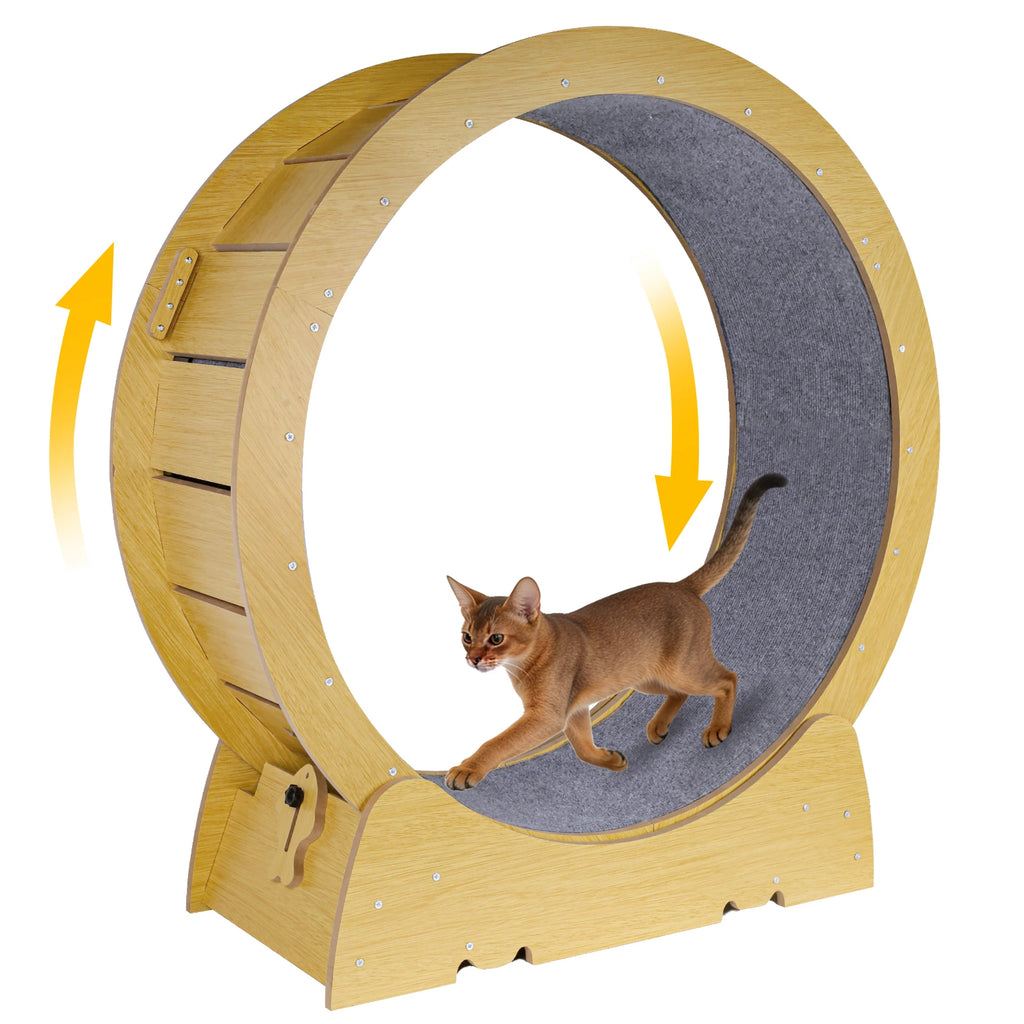 FINI L'ENNUI ET LE SURPOIDS CHEZ LES CHATS D'INTÉRIEUR – ROUE D'EXERCICE POUR CHAT