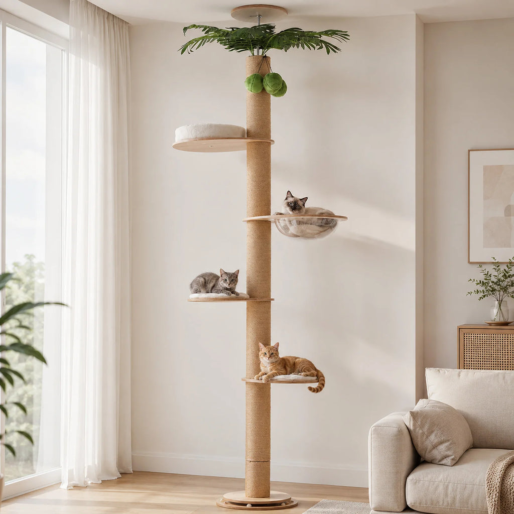 Arbre à chat du sol au plafond avec griffoir en sisal, lit en acrylique et perchoir supérieur