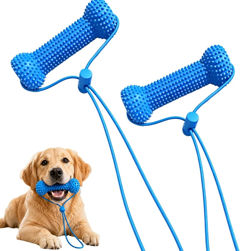 SOIN BUCCO-DENTAIRE, GRIFFOIR DENTAIRE & JOUET À MÂCHER POUR CHIEN