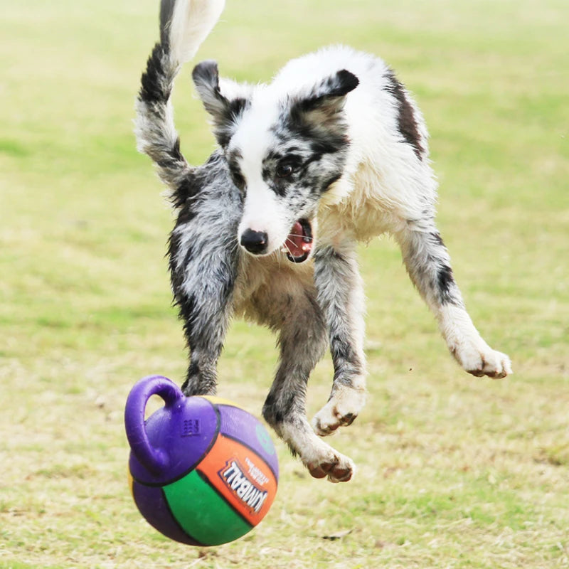 TERMINÉ LES JOUETS DÉTRUITS EN QUELQUES MINUTES – BALLE RÉSISTANTE AUX MORSURES POUR CHIEN