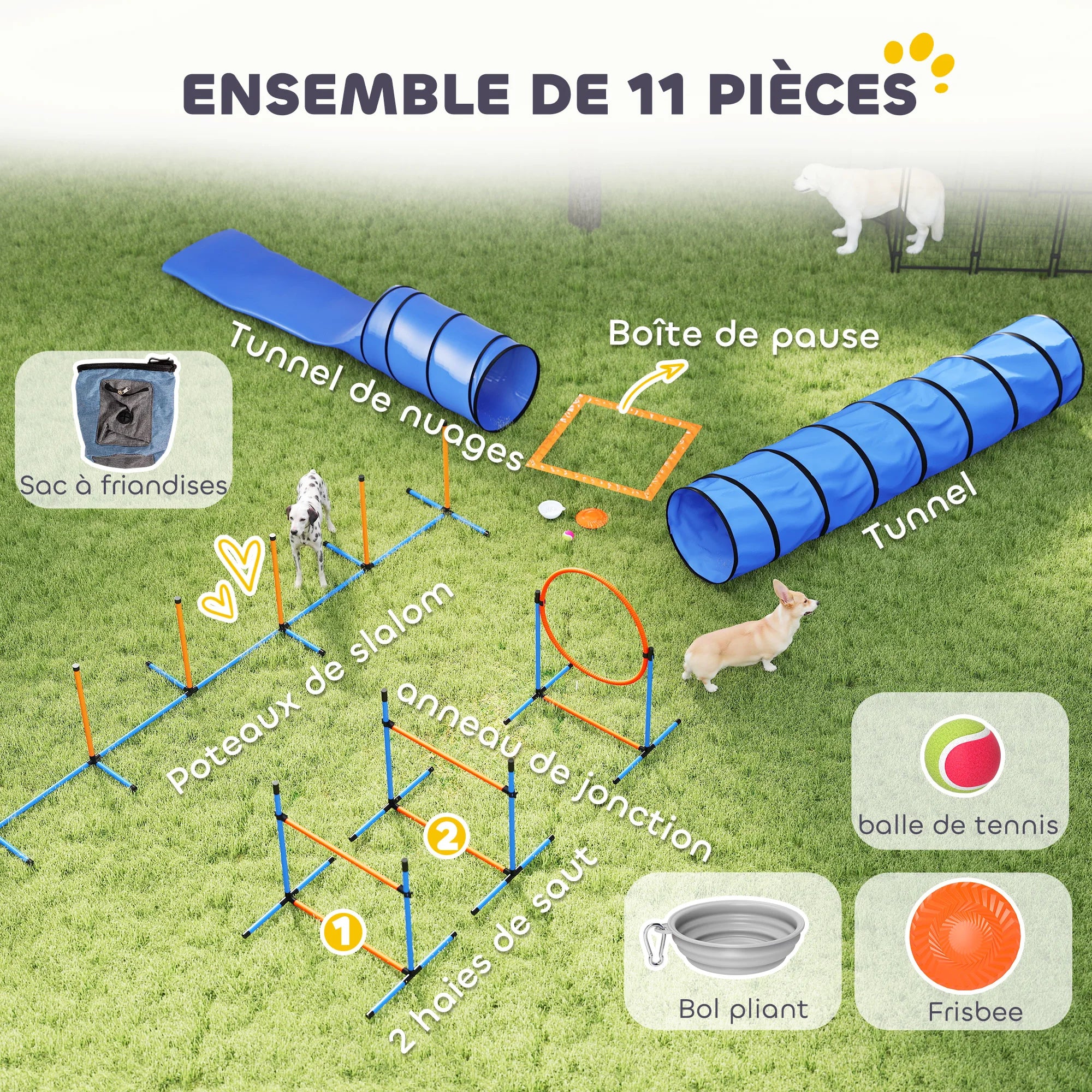 KIT PARCOURS AGILITÉ CHIEN 11 PIÈCES – JEU, ÉDUCATION & DÉPENSE ÉNERGÉTIQUE