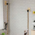 CORDE D'ESCALADE MURALE  POUR CHAT