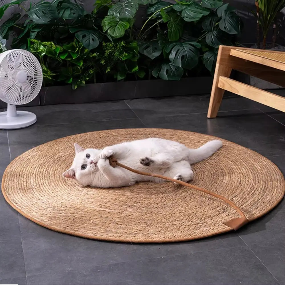 ZENRATTAN – LE TAPIS GRIFFOIR À CHAT NATUREL & RAFRAÎCHISSANT EN ROTIN 40 CM