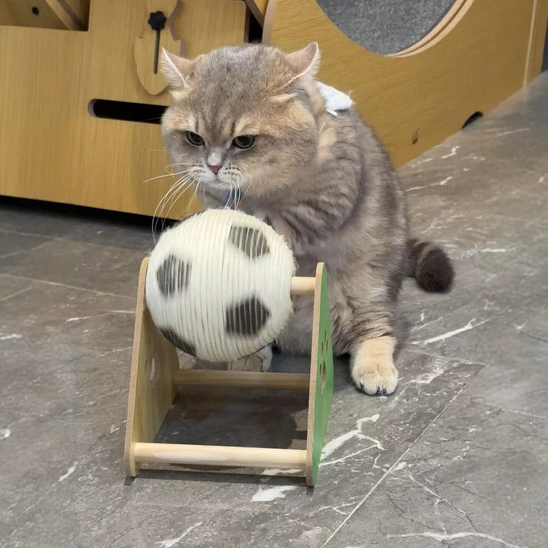 GRIFFOIR BALLON DE FOOT INTERACTIF POUR CHAT