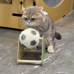GRIFFOIR BALLON DE FOOT INTERACTIF POUR CHAT