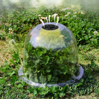 LOT DE 10 CLOCHES DE PROTECTION POUR PLANTES – CROISSANCE ACCÉLÉRÉE & PROTECTION MAXIMALE