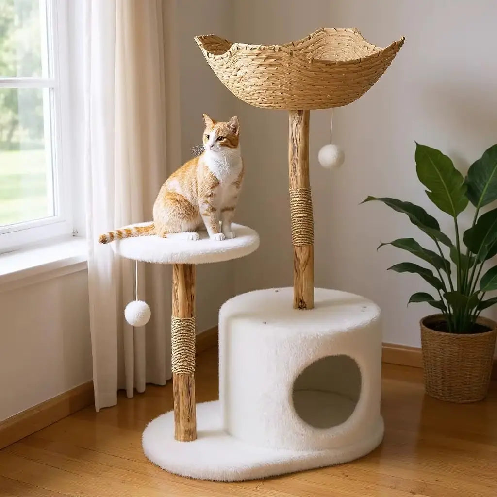 Arbre à chat en bois RoyalWood XL – Le royaume des grands félins comme les Maine Coon 117 cm