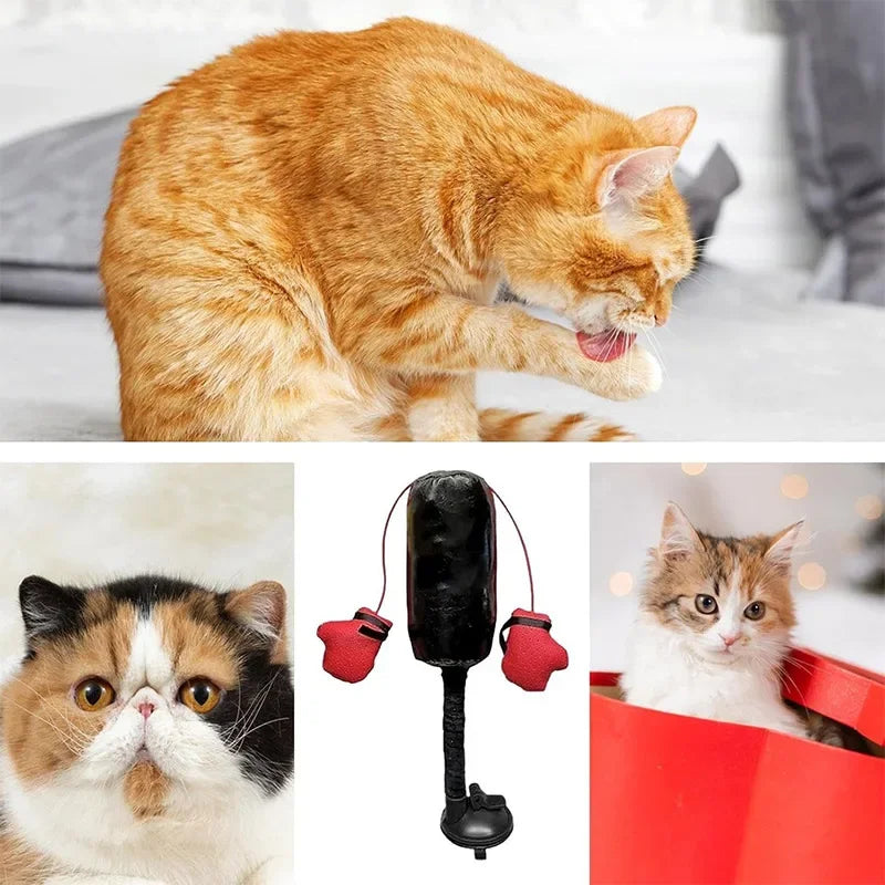 SAC DE FRAPPE INTERACTIF POUR CHAT