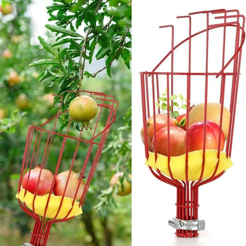 CUEILLEUR DE FRUITS TÉLESCOPIQUE – RÉCOLTE FACILE, RAPIDE & SANS ÉCHELLE