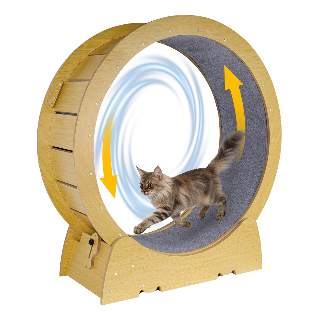 FINI L'ENNUI ET LE SURPOIDS CHEZ LES CHATS D'INTÉRIEUR – ROUE D'EXERCICE POUR CHAT