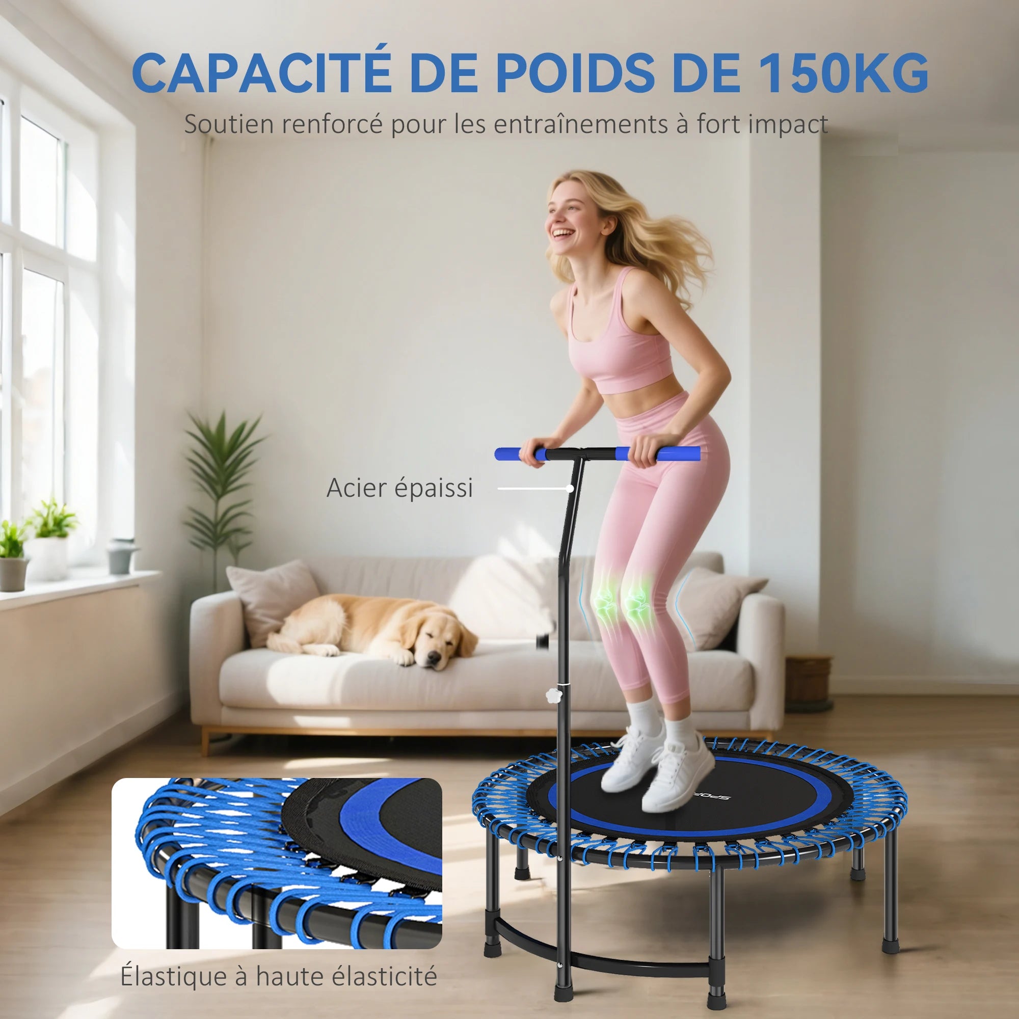 TRAMPOLINE FITNESS ADULTE – CARDIO, TONIFICATION & FUN