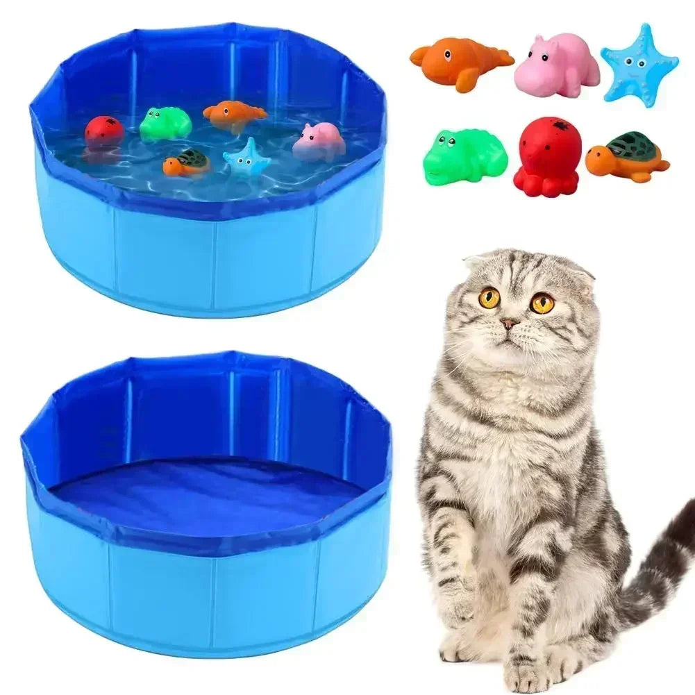 PISCINE DE PÊCHE INTERACTIVE POUR CHAT – STIMULATION, JEU & ANTI-ENNUI