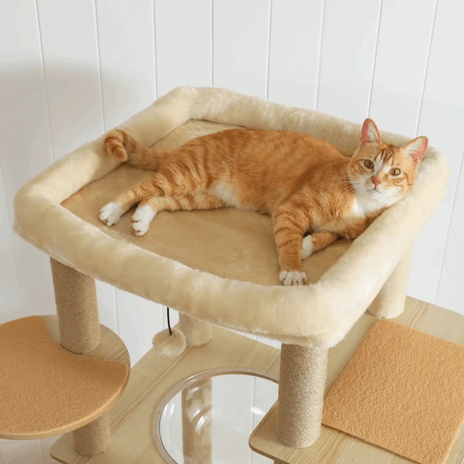 Arbre à chat en bois PrimeFeline 180 cm –  La tour féline haut de gamme pour chats d’intérieur