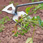 ARRACHEUR DE MAUVAISES HERBES MANUEL
